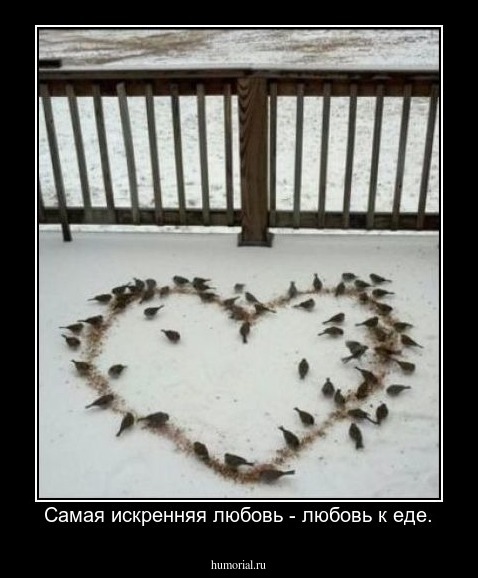 Самая искренняя любовь - любовь к еде.