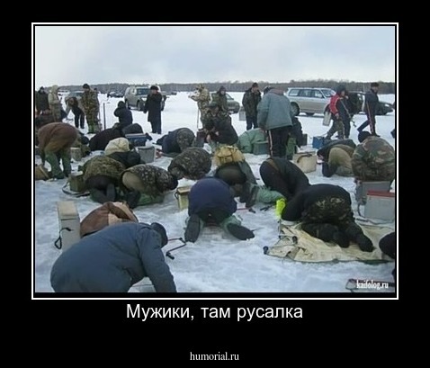 Мужики, там русалка