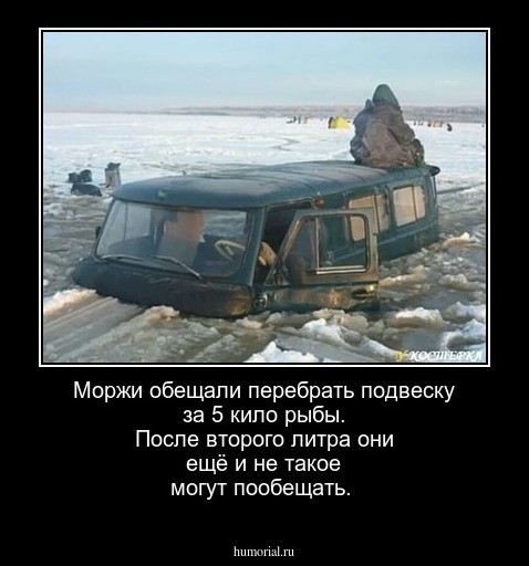 Моржи обещали перебрать подвеску за 5 кило рыбы. После второго литра они ещё и не такое могут пообещать.