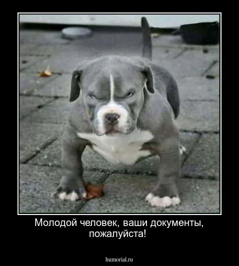 Молодой человек, ваши документы, пожалуйста!