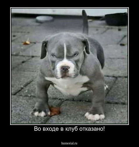 Во входе в клуб отказано!