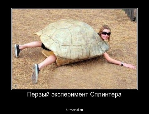 Первый эксперимент Сплинтера