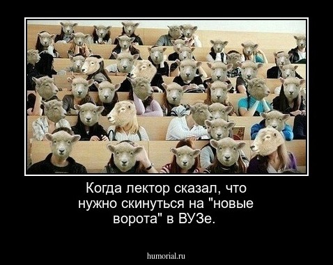 Когда лектор сказал, что нужно скинуться на "новые ворота" в ВУЗе.