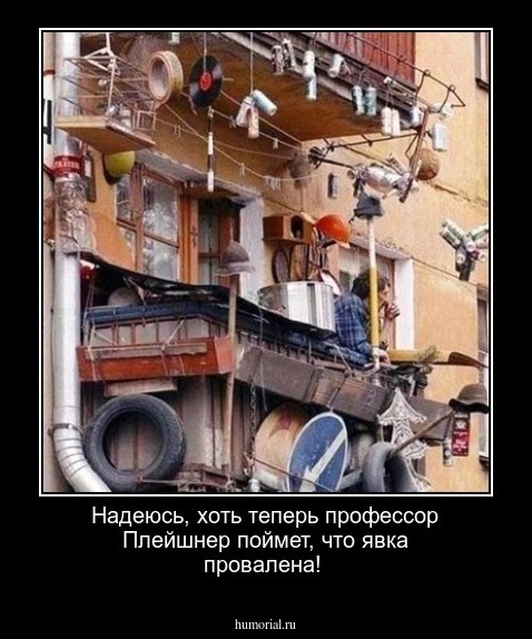 Надеюсь, хоть теперь профессор Плейшнер  поймет, что явка провалена!
