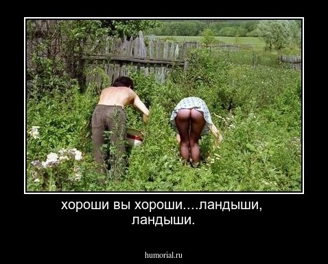хороши вы хороши....ландыши, 
ландыши.