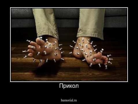 Прикол