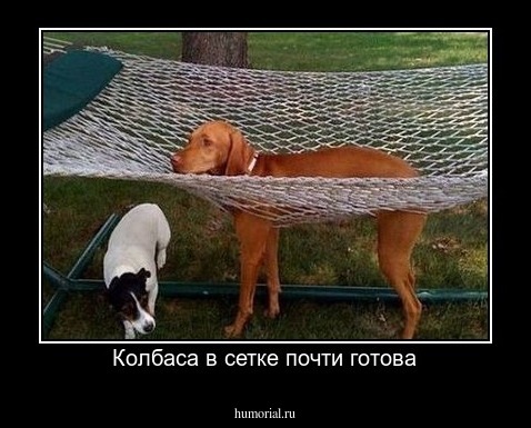 Колбаса в сетке почти готова