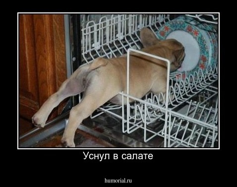 Уснул в салате