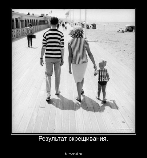 Результат скрещивания.