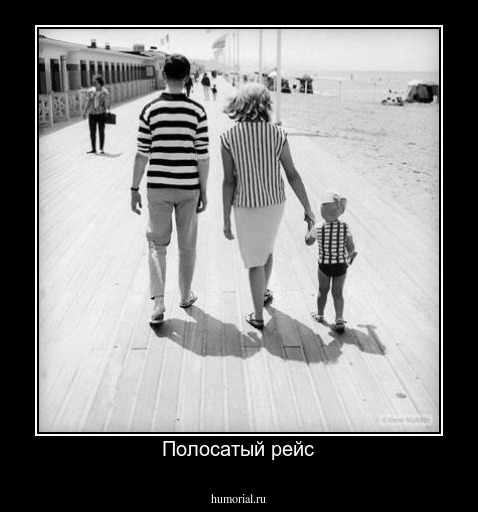 Полосатый рейс