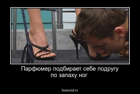 Парфюмер подбирает себе подругу по запаху ног