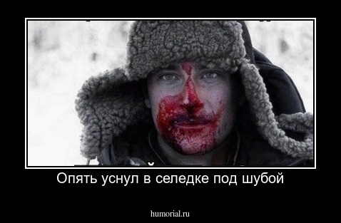 Опять уснул в селедке под шубой