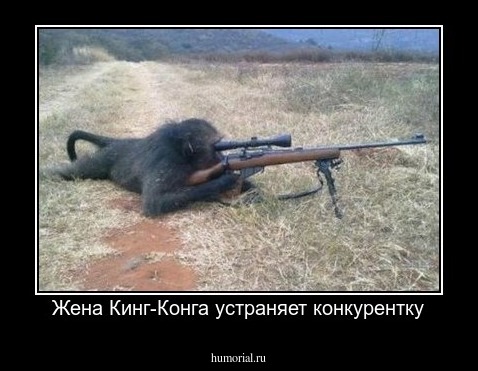 Жена Кинг-Конга устраняет конкурентку