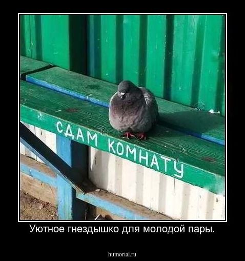 Уютное гнездышко для молодой пары.