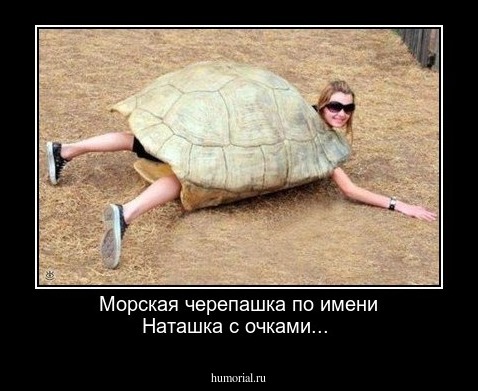 Морская черепашка по имени Наташка с очками...