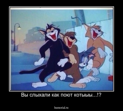 Вы слыхали как поют котыыы...!?