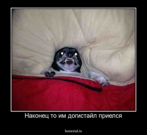 Наконец то им догистайл приелся