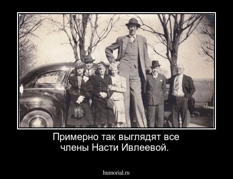 Примерно так выглядят все члены Насти Ивлеевой. 