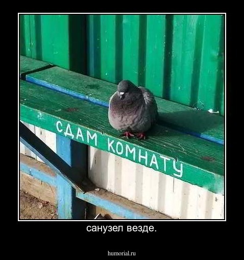санузел везде.