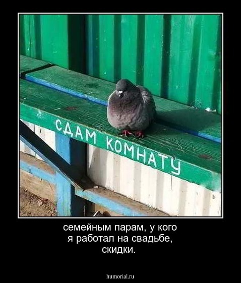 семейным парам, у кого я работал на свадьбе, скидки.