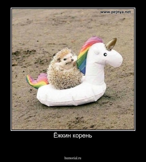 Ёжкин корень

