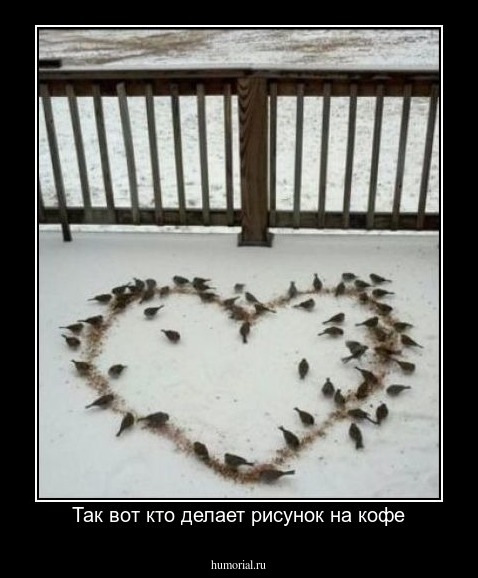 Так вот кто делает рисунок на кофе