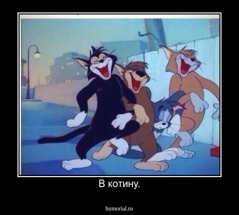 В котину.