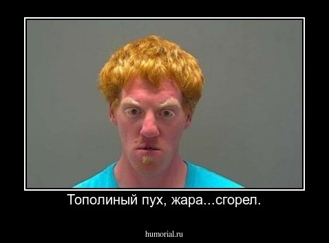Тополиный пух, жара...сгорел.