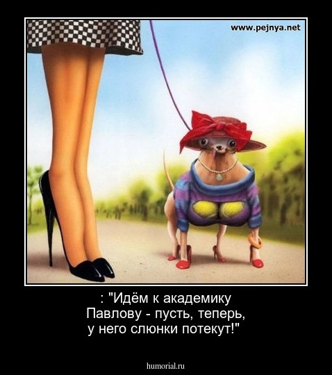 : "Идём к академику Павлову - пусть, теперь, у него  слюнки потекут!"