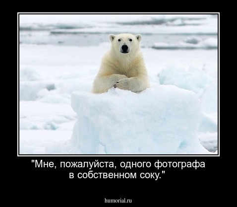 "Мне, пожалуйста, одного фотографа в собственном соку."