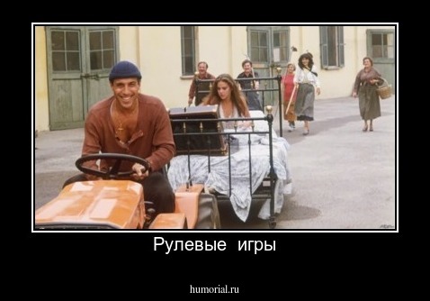 Рулевые  игры