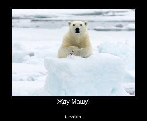 Жду Машу!