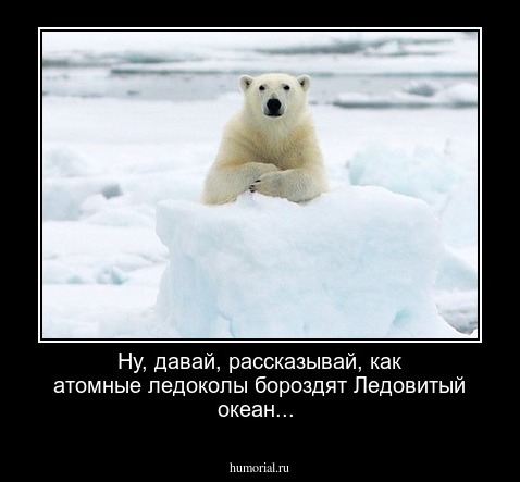 Ну, давай, рассказывай, как атомные ледоколы  бороздят Ледовитый океан...