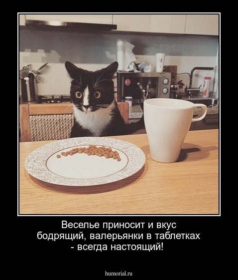 Веселье приносит и вкус бодрящий, валерьянки в таблетках - всегда настоящий!