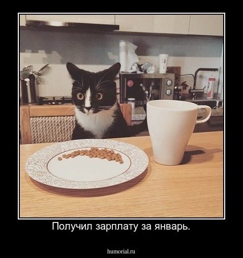 Получил зарплату за январь.
