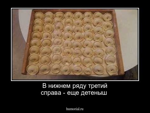 В нижнем ряду третий справа - еще детеныш