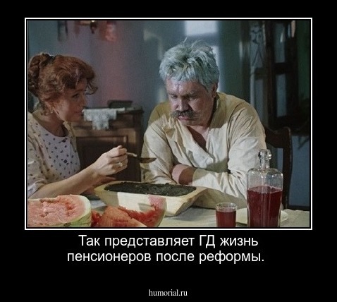 Так представляет ГД жизнь пенсионеров после реформы.
