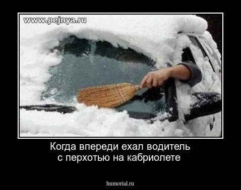 Когда впереди ехал водитель с перхотью на кабриолете 