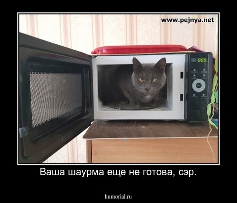 Ваша шаурма еще не готова, сэр.