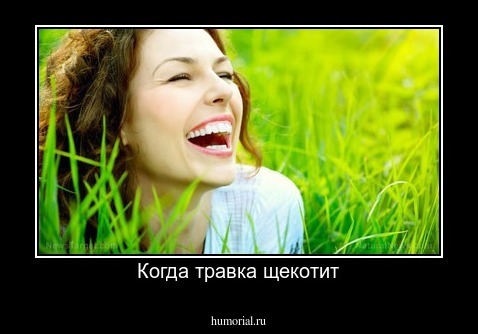 Когда травка щекотит