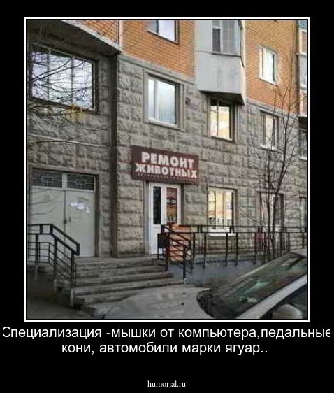 Специализация -мышки от компьютера,педальные кони, автомобили марки ягуар..