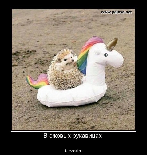 В ежовых рукавицах 