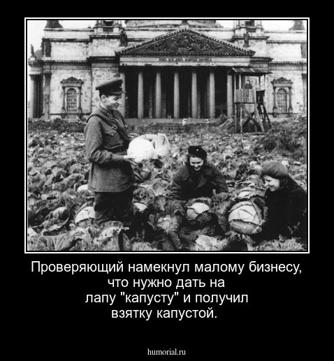 Проверяющий намекнул малому бизнесу, что нужно дать на лапу "капусту" и получил взятку капустой.