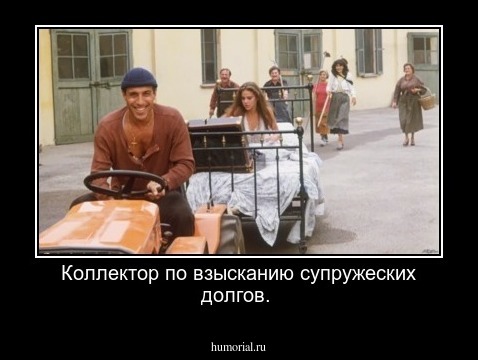 Коллектор по взысканию супружеских долгов.