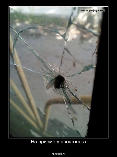 На приеме у проктолога