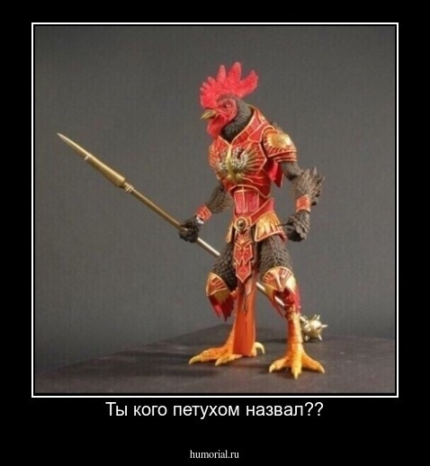 Ты кого петухом назвал??