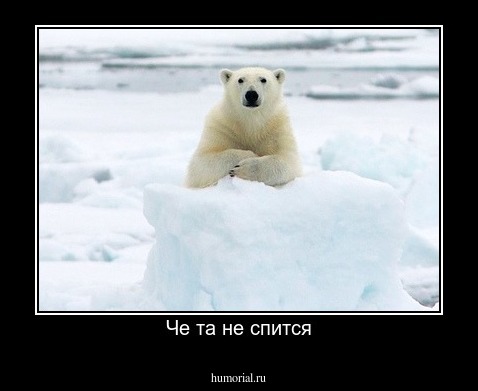 Че та не спится