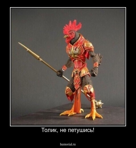 Толик, не петушись!