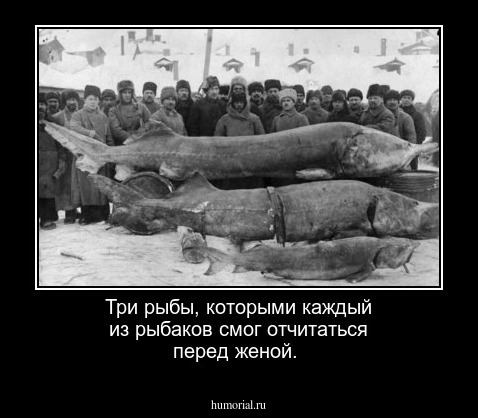 Три рыбы, которыми каждый из рыбаков смог отчитаться перед женой.