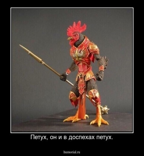 Петух, он и в доспехах петух.